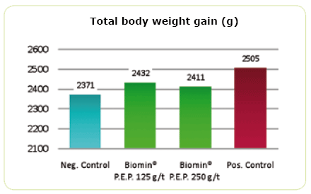 New Concepts on the Horizon: Phytogenics in Poultry Production - Image 3