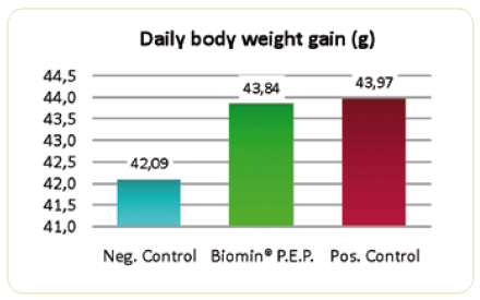 New Concepts on the Horizon: Phytogenics in Poultry Production - Image 5