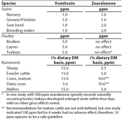 Fumonisin, Vomitoxin, and Other Mycotoxins in Corn Produced by Fusarium Fungi - Image 8