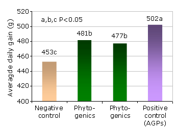New insights into phytogenics - Image 2