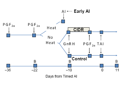 Timed Artificial Insemination Conception Rates in Response to a Progesterone Insert in Lactating Dairy Cows - Image 1