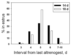 Using Regumate to Control Estrus in Swine - Image 2