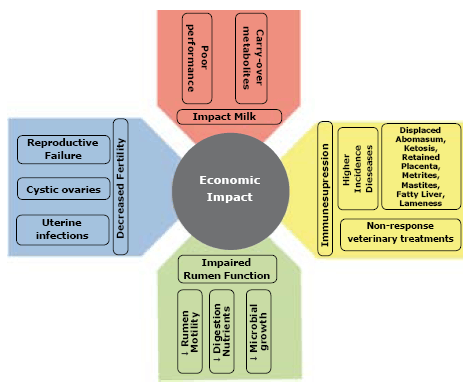 Mycotoxins in dairy cows: a menace to cows, farmers and consumers! - Image 3