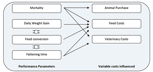 Mycotoxins: a simple explanation for a complex topic (I) - Image 3