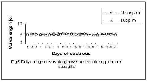 The Effect of Vitamin E Supplementation on Onset, Duration and Expression of the Oestrous Cycle in Gilts - Image 6