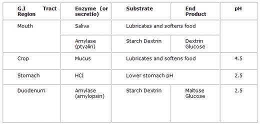 Sugar Syrup – A High Energy Feed For Poultry Industry - Image 2