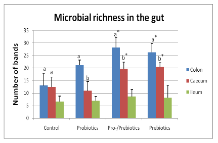 Exploring the intestinal microflora with DGGE - Image 3