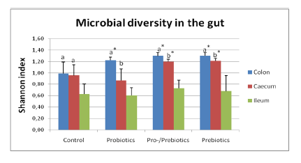 Exploring the intestinal microflora with DGGE - Image 4