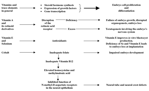 Effect of Vitamin E and Selenium on anoestrus and conception of dairy cattle - Image 2