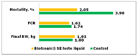 Efficiency of Biotronic® Product Line in Poultry - Image 1