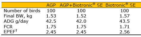 Efficiency of Biotronic® Product Line in Poultry - Image 5