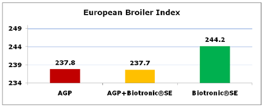 Efficiency of Biotronic® Product Line in Poultry - Image 6