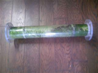 Solution For Pig farm Odor - Image 4