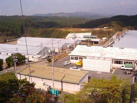 Solution For Pig farm Odor - Image 8