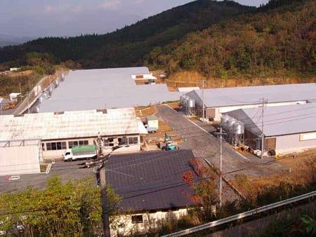 Solution For Pig farm Odor - Image 9