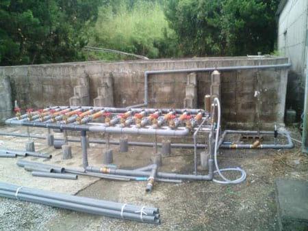Solution For Pig farm Odor - Image 13
