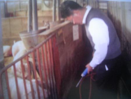 Solution For Pig farm Odor - Image 25