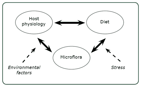 Recent Trends in Gut Health Management - Image 1