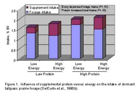 Utilizing Grass Seed Residues for Wintering Beef Cattle - Image 1