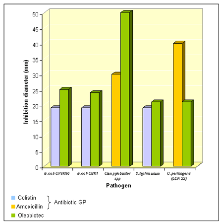 A natural alternative to poultry growth promoters - Image 2