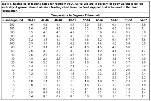 Trout Production: Feeds and Feeding Methods - Image 1