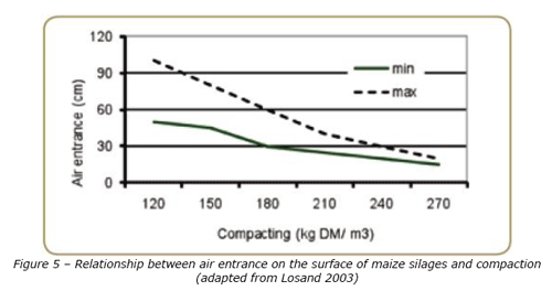Mycotoxins in silages - Image 6