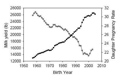 Improving Dairy Cow Fertility through Genetics - Image 1