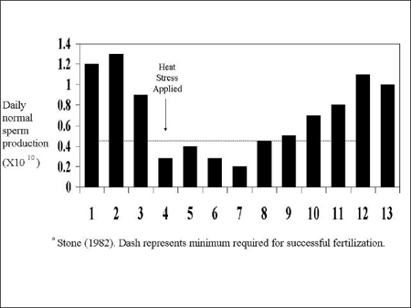 Influence of Hot-Humid Environment on Growth Performance and Reproduction of Swine - Image 1