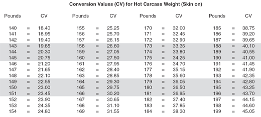 Pork Carcass Evaluation and Procedures - Image 2