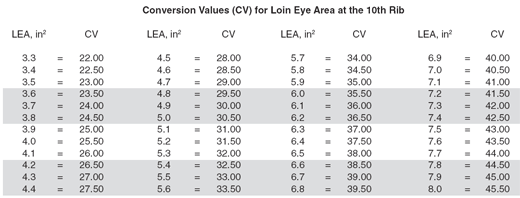 Pork Carcass Evaluation and Procedures - Image 3