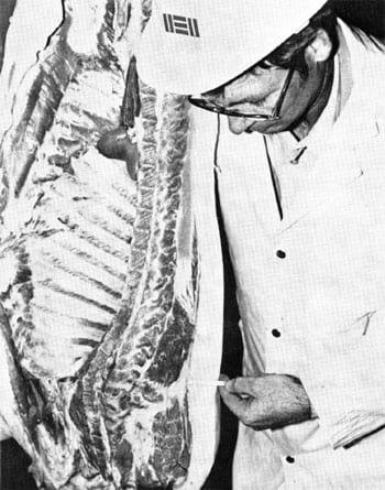 Pork Carcass Evaluation and Procedures - Image 7