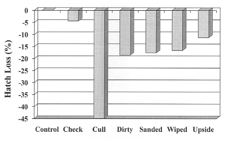 Effect of Incubating Poor Quality Broiler Breeder Hatching Eggs on Overall Hatchability and Hatch of Fertile - Image 1