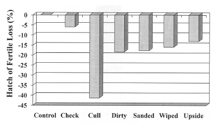 Effect of Incubating Poor Quality Broiler Breeder Hatching Eggs on Overall Hatchability and Hatch of Fertile - Image 2
