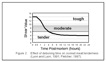 Factors Affecting Poultry Meat Quality - Image 2