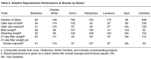 Evaluating Breeds of Swine for Crossbreeding Programs - Image 2