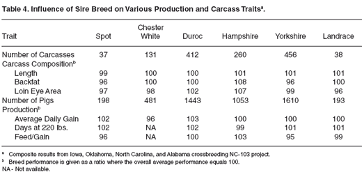 Evaluating Breeds of Swine for Crossbreeding Programs - Image 4