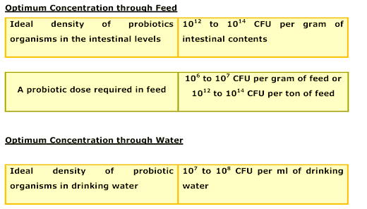 Modern Dietary Approach to Prevent Enteric Disorders in Commercial Poultry Production - Image 2