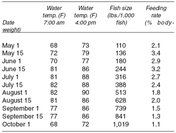 Feeding Catfish in Commercial Ponds - Image 2