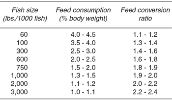 Feeding Catfish in Commercial Ponds - Image 3