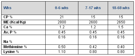 Achieving and Maintaining Fertility in Broiler Breeders - Image 2