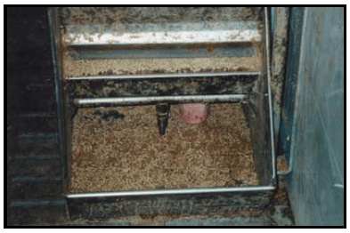 Maximizing Water Utilization - Image 1