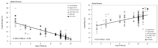 Silage inoculants for haylage: feasible? - Image 3