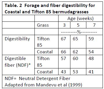 Coastal vs. Tifton 85 Bermudagrass for Horses: Facts & Myths. - Image 2
