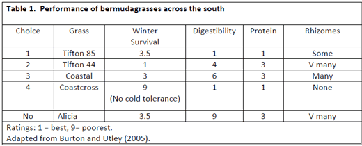 Coastal vs. Tifton 85 Bermudagrass for Horses: Facts & Myths. - Image 1