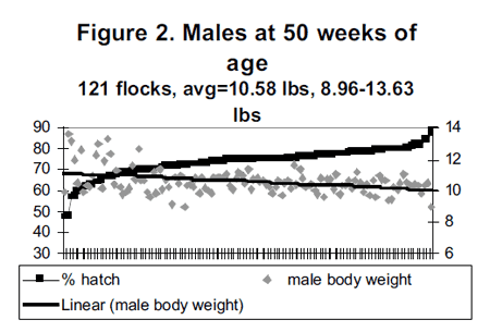 Management to Minimize Reduction in Fertility and Hatchability Late in Lay - Image 2