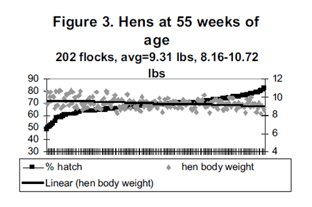 Management to Minimize Reduction in Fertility and Hatchability Late in Lay - Image 3