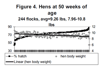 Management to Minimize Reduction in Fertility and Hatchability Late in Lay - Image 4