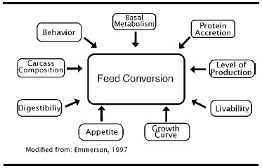 Can Genetic Selection Enhance Nutrient Efficiency? - Image 1