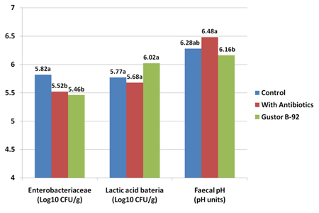 An update on the use of acidifiers in piglet diets - Image 5