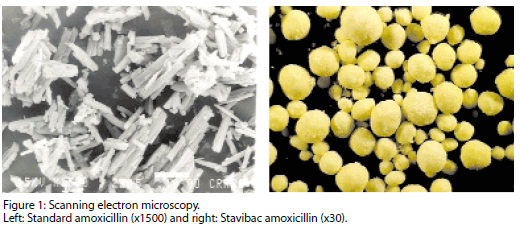 Protecting the actives in your premix - Image 2